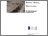 [thumbnail of NOMA PR Redfern Street Archaeological Excavation.pdf]