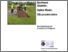 [thumbnail of Cinderford_Archaeological Evaluation Report.pdf]