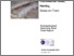 [thumbnail of Ivy House Mills, Hanley_Archaeological Watching Brief Final Report.pdf]