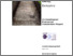 [thumbnail of OCOR Archaeological Evaluation_Final Report.pdf]