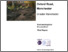 [thumbnail of Whitworth Art Gallery_Archaeological Excavation Report.pdf]