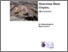 [thumbnail of OMG, Openshaw West_Archaeological Report.pdf]